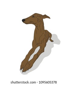 dog lies, vector, white background