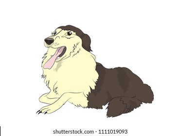 dog lies, vector, white background