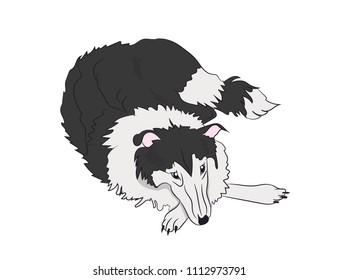 dog lies, vector, white background