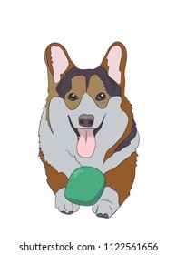 dog lies, vector, white background