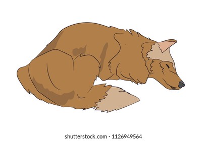 dog lies, vector, white background
