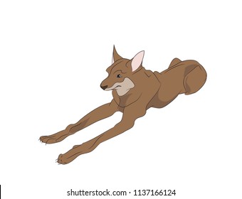 dog lies, vector, white background