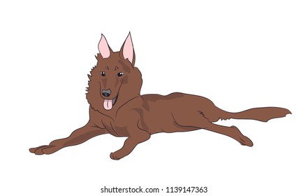 dog lies, vector, white background