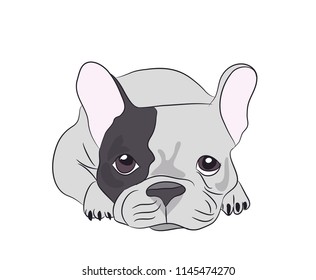 dog lies, vector, white background