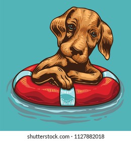 Dog with a Life Buoy floating on water.