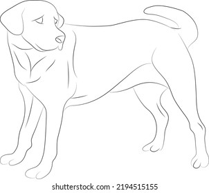 Dog Line Art Coloring Page