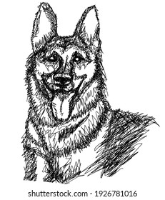 Dog line art. German Shepherd. Vector illustration isolated on white background.