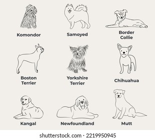 Dog Line Drawing  line art  one color  black   white  vector isolated illustration in black color white background  Komondor  Samoyed  Border Collie  Boston Terrier  Yorkshire Terrier  Chihuahua