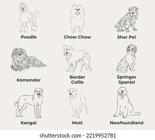 Dog Line Drawing, line art, one color, black and white, vector isolated illustration in black color on white background. Poodle, Chow Chow, Shar Pei, SharPei, Komondor, Border
Collie, Kangal, Mutt.