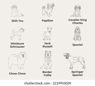 Dog Line Drawing  line art  one color  black   white  vector isolated illustration in black color white background  Shih Tzu  Papillon  Cavalier King Charles  Miniature
Schnauzer  Spaniel  Jack 
