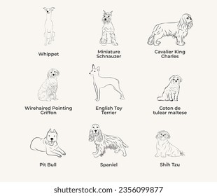 Dog Line Drawing, line art, one color, black and white, vector isolated illustration in black color on white background. Canaan dog, Basenji, Basset Hound, English Toy Terrier, Сoton de tulear maltese