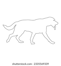 Dog line icon vector illustration symbol design