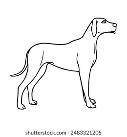 dog line vector illustration,isolated on white background,top view