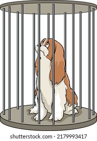 A dog locked in a round cage, waiting for the sentence, doomed