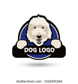 
Dog logo.  Cute fluffy white dog, vector graphics.