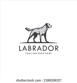 Dog Logo Design Labrador Vector Image