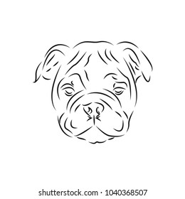 dog logo design template