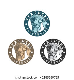 dog logo, dog food logo and veterinarian