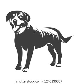 dog logo vector