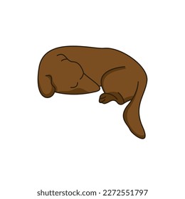 Dog logo vector design icon illustration template