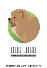 Dog logo vector illustration Chow Chow dog breed isolated on white. Puffy-lion dog. Sturdily built dog, square in profile, with broad skull and small, triangular, erect ears with rounded tips. Vector