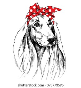 Dog with long ears portrait in a red headband. Vector illustration.