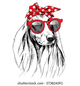 Dog with long ears portrait in a red headband and with sunglasses. Vector illustration.