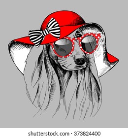 Dog with long ears portrait in a red Summer hat with sunglasses. Vector illustration.