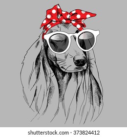 Dog with long ears portrait in a red headband and with sunglasses. Vector illustration.