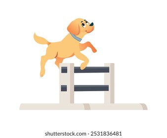 Dog with long fur jumping over jump hurdle isolated on white background.