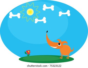 dog look on sky and bone