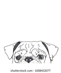 dog look vector drawing illustration