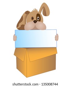 dog looking out from the box holding a table in his jaws