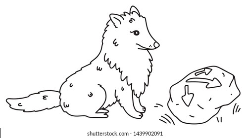 Dog is looking for a way