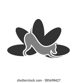 dog and lotus logo vector design.