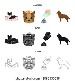 A dog in a lounger , a muzzle of a pet, a bowl with a feed, a sheepdog with a ball in his teeth. Pet ,dog care set collection icons in cartoon,black,outline style vector symbol stock illustration web.