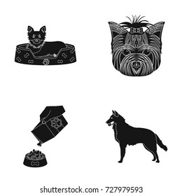 A dog in a lounger , a muzzle of a pet, a bowl with a feed, a sheepdog with a ball in his teeth. Pet ,dog care set collection icons in black style vector symbol stock illustration web.