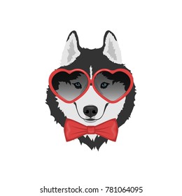 Dog in love with red bow tie and heart shaped glasses. Black and white Siberian husky with blue eyes. Valentine's day greeting card. Vector illustration