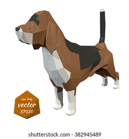 Dog. Low poly style. Vector illustration.