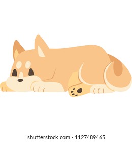 Dog lying down (Shiba dog)