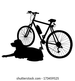 A dog is lying dog next to a bike waiting for his owner to return