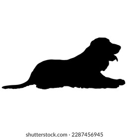 dog is lying dog silhouette. Vector dog breeds