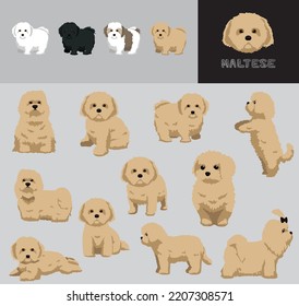 Dog Maltese Brown Hair Cartoon Vector Illustration Color Variation Set