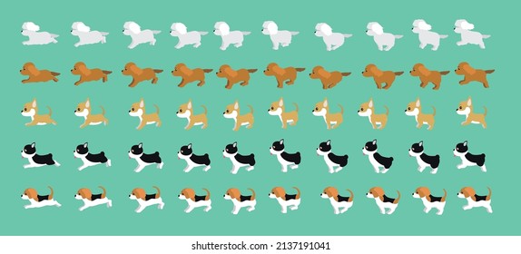 Dog Maltese Cocker Spaniel Chihuahua Boston Terrier Beaagle Walking Running Cartoon Vector Set