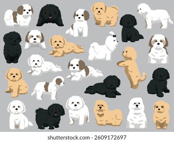 Dog Maltese Various Colors Poses Cartoon Vector Character