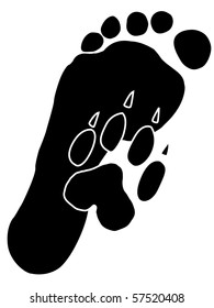 dog and man footprints