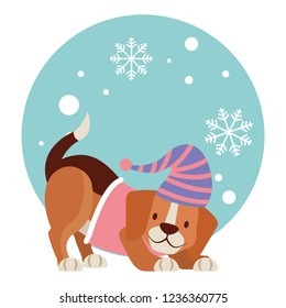 dog merry christmas card