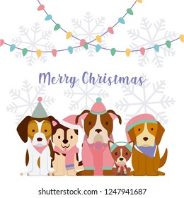 dog merry christmas card