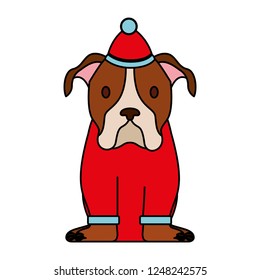 dog merry christmas card