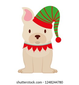 dog merry christmas card